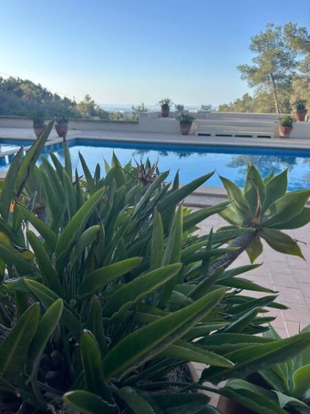 Mallorca: Magical Yoga Day Retreat - Relaxation at the Pool
