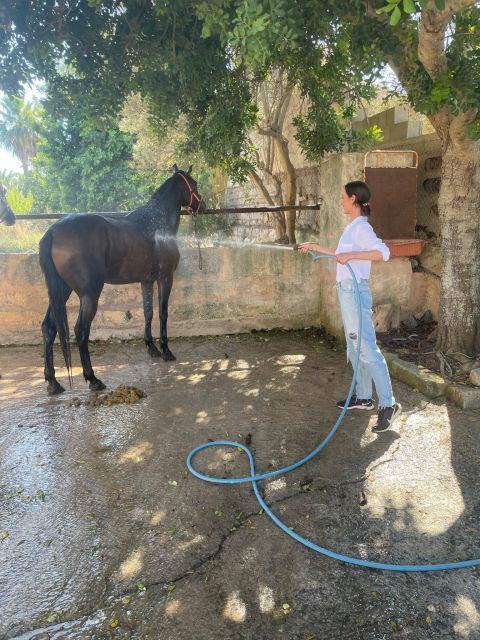 Mallorca: Mallorca Sunset, Randa Valley. - Activity Details