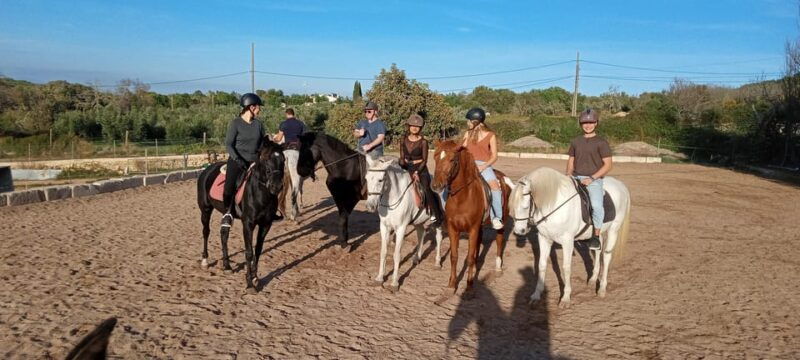 Mallorca: , Mallorcan Sunset, Horseback Riding, With Drinks - Good To Know