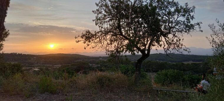 Mallorca: , Mallorcan Sunset, Horseback Riding, With Drinks - Instruction and Safety