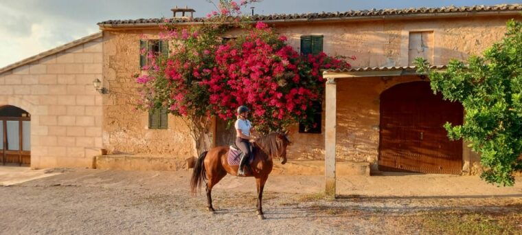 Mallorca: , Mallorcan Sunset, Horseback Riding, With Drinks - Customer Reviews