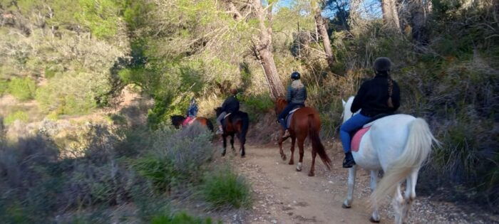 Mallorca: , Mallorcan Sunset, Horseback Riding, With Drinks - Booking and Availability