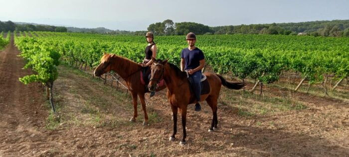 Mallorca: , Mallorcan Sunset, Horseback Riding, With Drinks - What to Expect