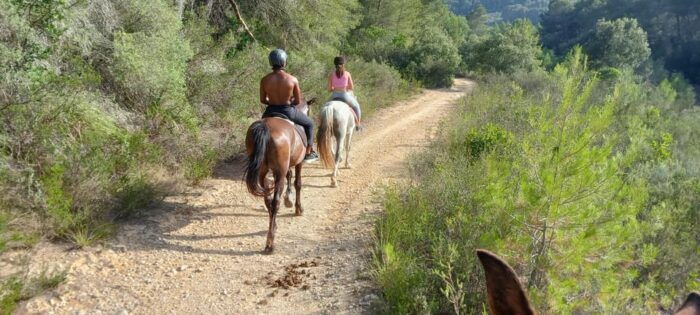 Mallorca: , Mallorcan Sunset, Horseback Riding, With Drinks - Common Questions