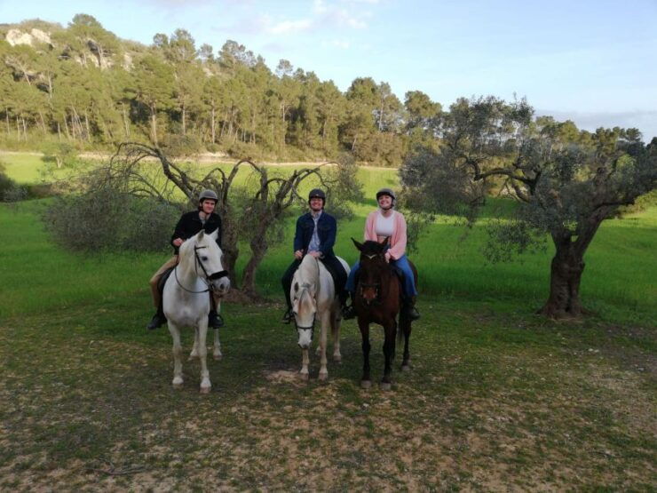 Mallorca: Mallorcas Sunset & Spanish Riding School Show - Sunset Experience in Randa Valley