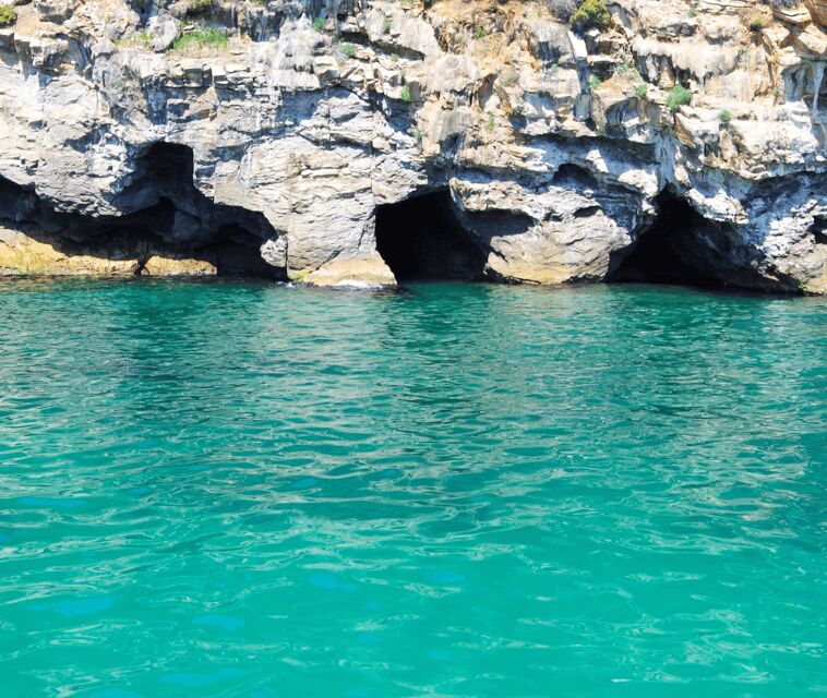 Mallorca Marine reserve: Visit caves, cliffs and snorkeling - Good To Know