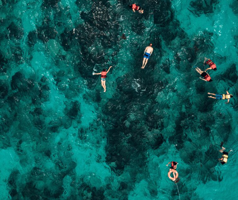 Mallorca Marine reserve: Visit caves, cliffs and snorkeling - Paddle Surfing and Water Fun
