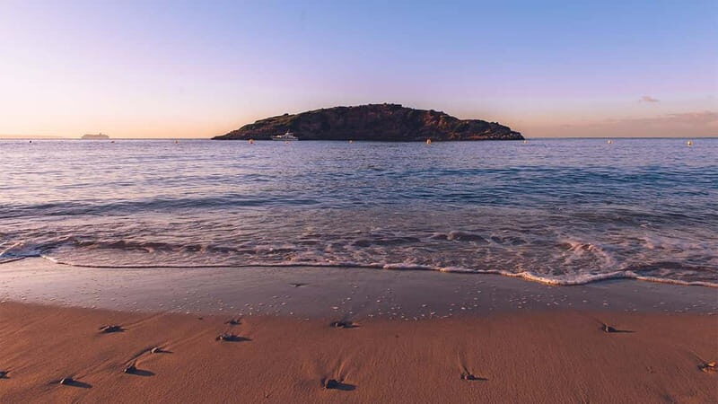 Mallorca: Morning Yoga by the Sea - The Value of This Experience