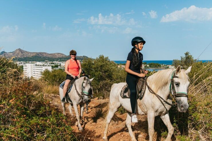 Mallorca: Mountain Horse Riding Experience W/ Brunch Option - Riding Experience