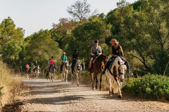 Mallorca: Mountain Horse Riding Experience W/ Brunch Option - Options and Extras