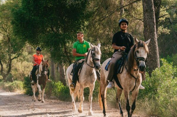 Mallorca: Mountain Horse Riding Experience W/ Brunch Option - Brunch Option
