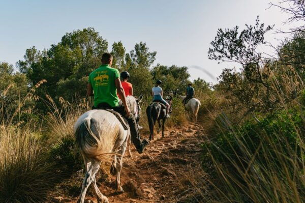 Mallorca: Mountain Horse Riding Experience W/ Brunch Option - The Sum Up