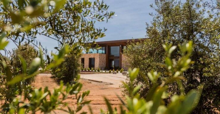 Mallorca: Oleo-Tour 1/2Day StreetMarket Olive Mill & Tasting - Tour Duration and Availability