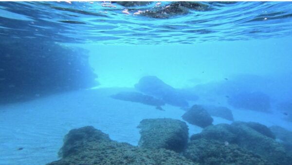 Mallorca: Paddleboarding Tour to Cueva Verde With Snorkeling - Booking Information