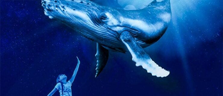 Mallorca: Palma Aquarium Entry Ticket With 3D Cinema - Experience Highlights