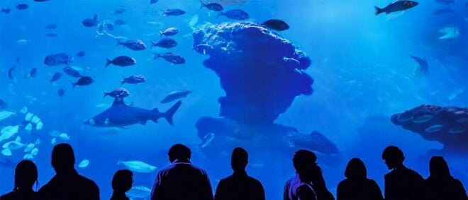 Mallorca: Palma Aquarium Entry Ticket With 3D Cinema - Participants and Date