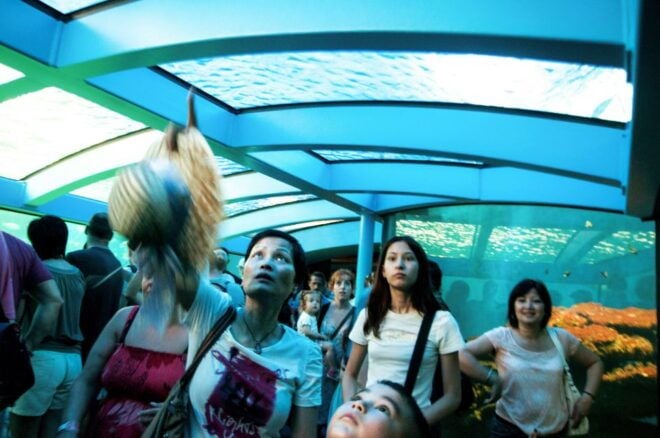 Mallorca: Palma Aquarium Entry Ticket With 3D Cinema - Review Summary