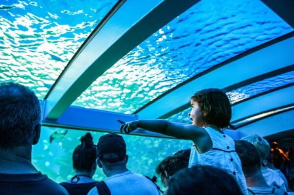 Mallorca: Palma Aquarium Entry Ticket With 3D Cinema - Largest Exhibition of Living Corals