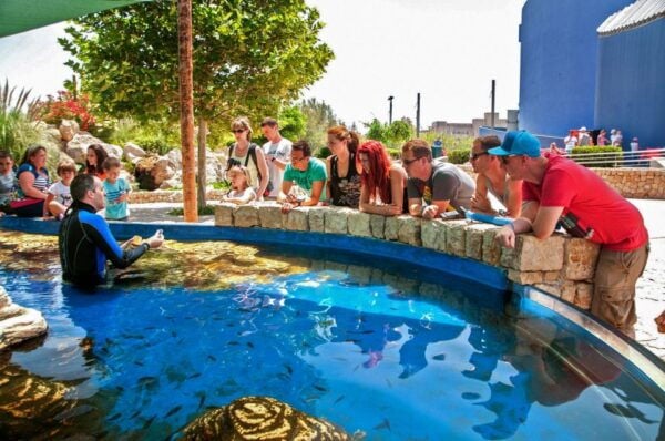 Mallorca: Palma Aquarium Entry Ticket With 3D Cinema - Daily Feedings of Sharks, Rays, Turtles, and Piranhas