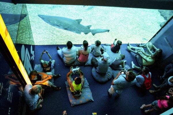 Mallorca: Palma Aquarium Entry Ticket With 3D Cinema - Common Questions