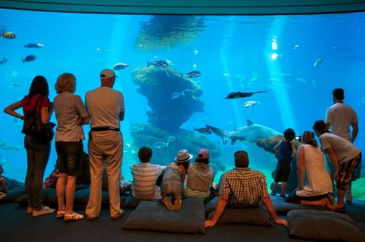 Mallorca: Palma Aquarium Tickets With Transfer - Tour Details