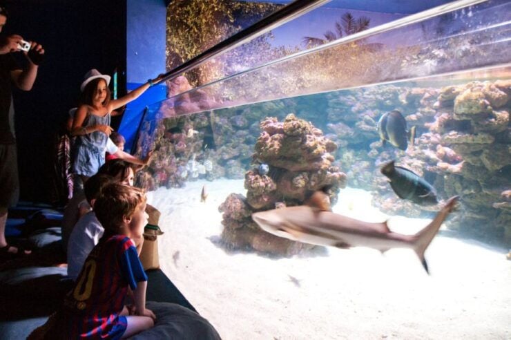Mallorca: Palma Aquarium Tickets With Transfer - Experience
