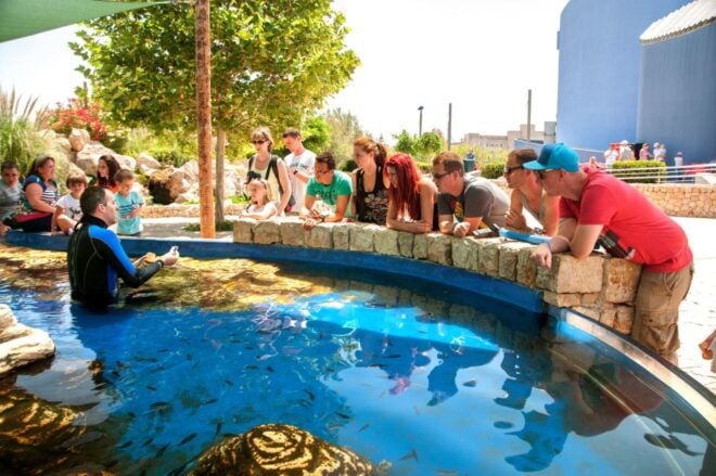 Mallorca: Palma Aquarium Tickets With Transfer - Customer Reviews