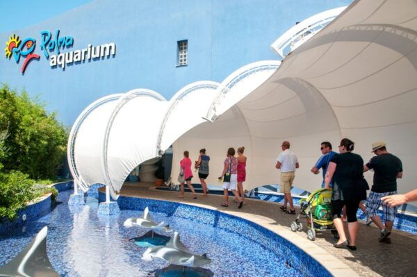 Mallorca: Palma Aquarium Tickets With Transfer - Highlights