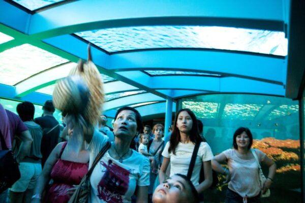 Mallorca: Palma Aquarium Tickets With Transfer - Itineraries