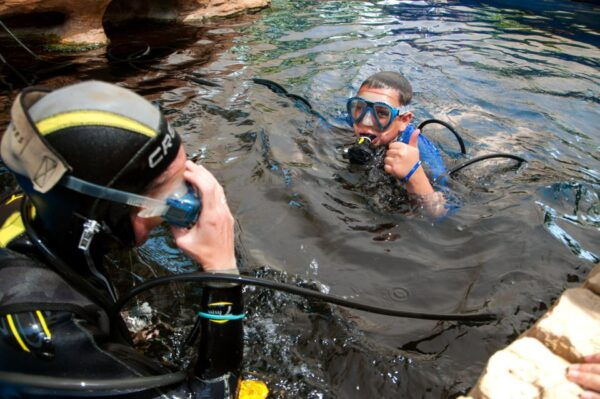 Mallorca: Palma Aquarium Tickets With Transfer - The Sum Up