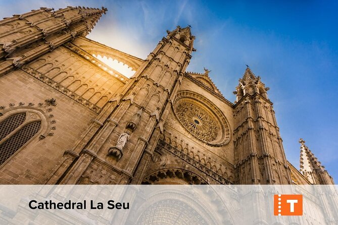 Mallorca: Palma De Mallorca City Pass, Incl. Hop on Hop off - Cultural Access and Museum Visits