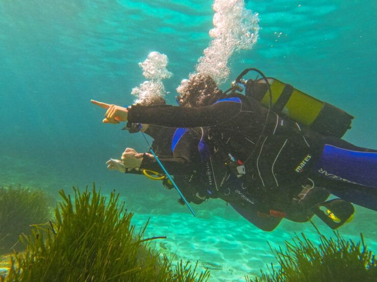 Mallorca: Private Beginner Scuba Dive With Instructor - Instructor Information and Language Options