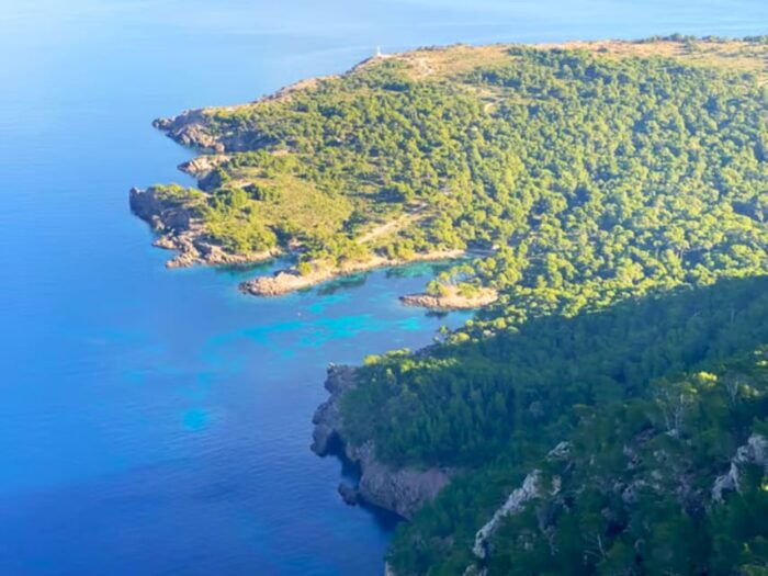 Mallorca: Private Boat Trip to Alcudia, Pollensa & Formentor - Common Questions