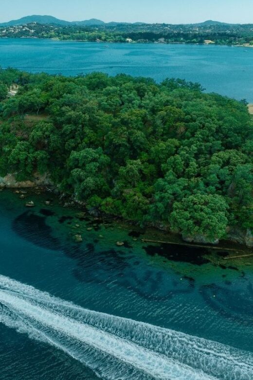 Mallorca: Private Half Day Cruise on Luxury Speed Boat - The Allure of a Speed Boat Tour in Mallorca