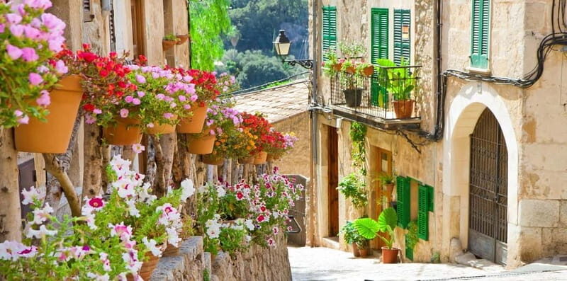 Mallorca: Puerto de Sóller and Valldemossa Morning Trip - Who Would Love This Tour?