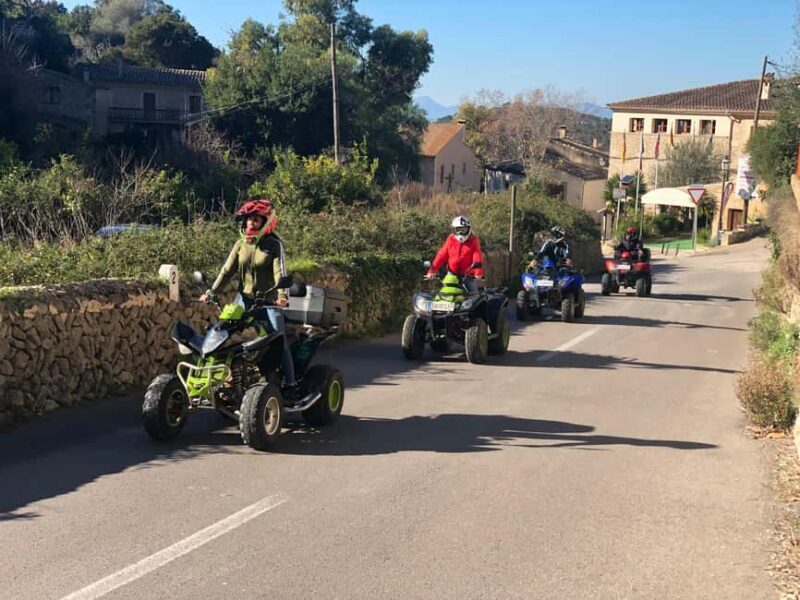 Mallorca: Quad Tour to the top of the mountain & swim - Who Is This Tour Best For?