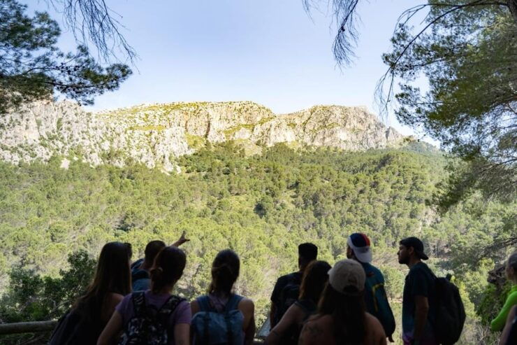Mallorca : Reserva Park Entry Ticket With Nature & Animals - Good To Know