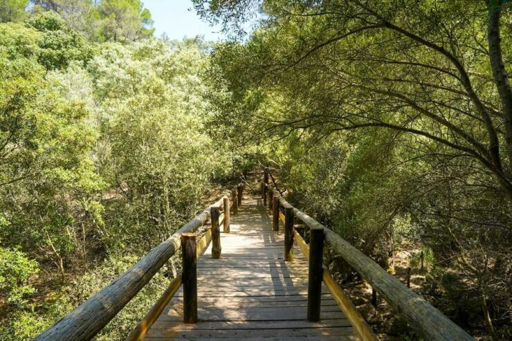 Mallorca : Reserva Park Entry Ticket With Nature & Animals - Geographical Location and Significance