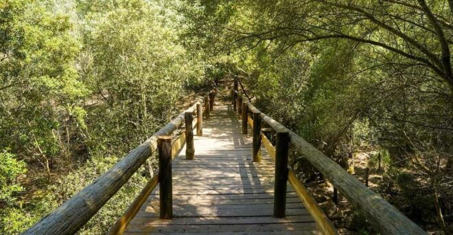 Mallorca : Reserva Park Entry Ticket With Nature & Animals - Hiking Trails and Scenic Views