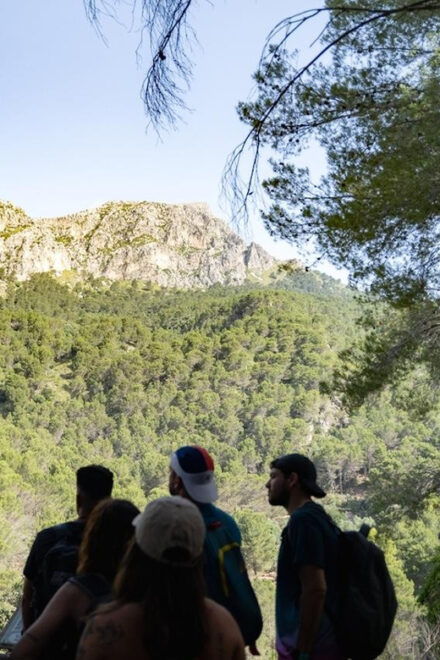 Mallorca : Reserva Park Entry Ticket With Nature & Animals - Positive Customer Testimonials