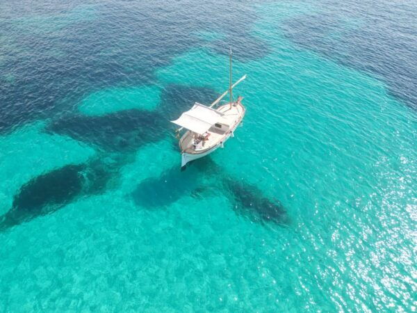 Mallorca: Sailing 100% Electric Boat + Snorkel + Aperitive - Onboard Activities and Refreshments