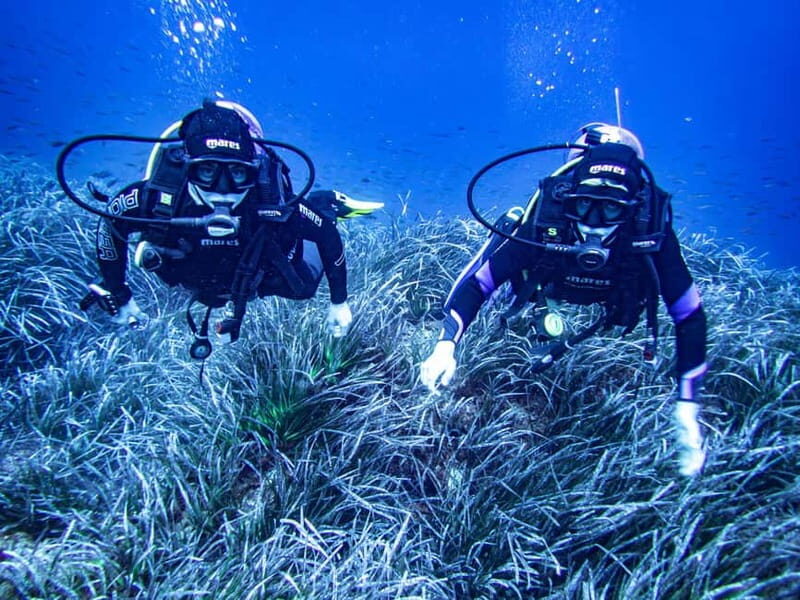 Mallorca: Scuba Dive Adventure Cap de Formentor - 2 dive sites - What’s Included and What to Expect