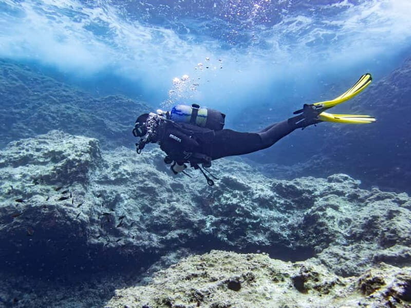 Mallorca: Scuba Dive Adventure Cap de Formentor - 2 dive sites - Final Thoughts