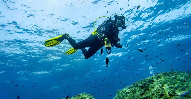 Mallorca: Scuba Diving - a Dive From the Boat (For Certified Divers) - Group Size and Language Options