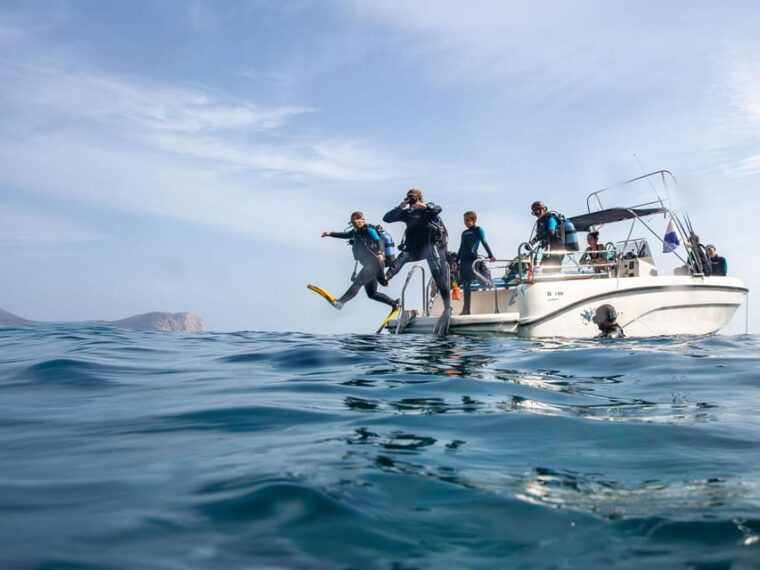 Mallorca: Scuba Diving - a Dive From the Boat (For Certified Divers) - Dive Experience and Sites