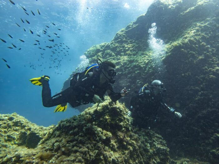 Mallorca: Scuba Diving - a Dive From the Boat (For Certified Divers) - Frequently Asked Questions