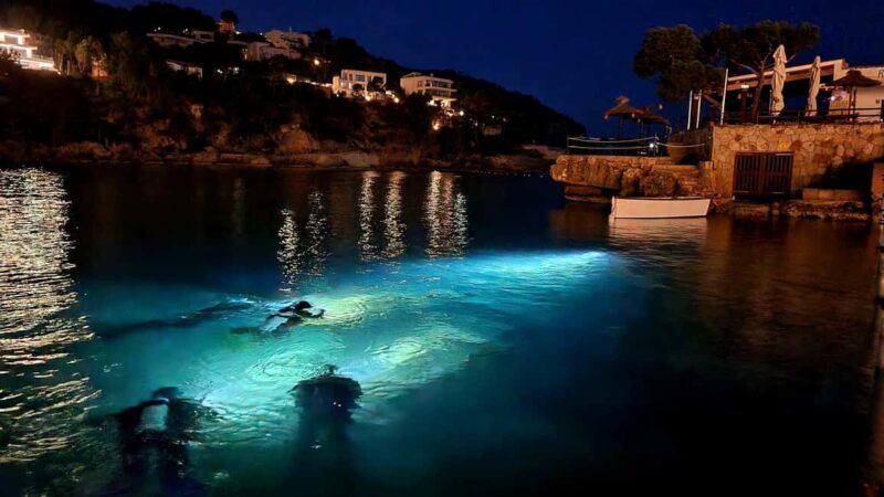 Mallorca: Scuba Diving for Beginners - Good To Know