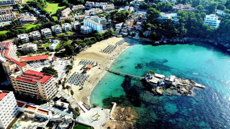 Mallorca: Scuba Diving for Beginners - What to Expect From the Mallorca Scuba Diving Experience