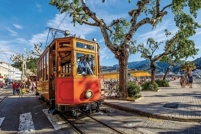 Mallorca Shore Excursion: Exclusive Soller and Valldemosa - Tour Overview and Highlights