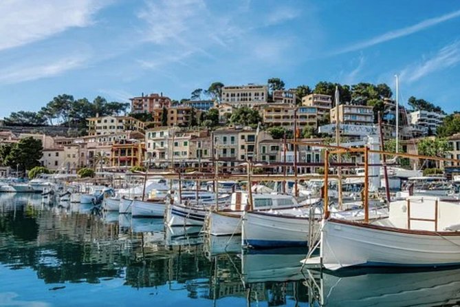 Mallorca Shore Excursion: Exclusive Soller and Valldemosa - Inclusions